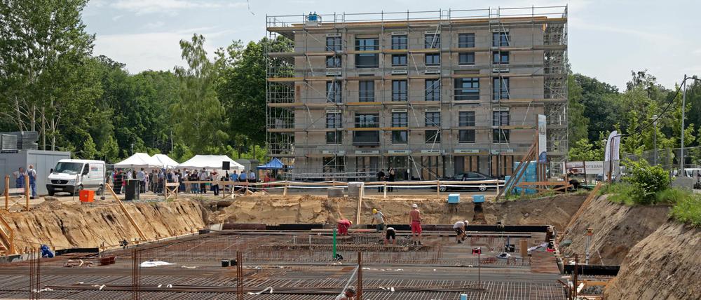 2017 sollen die 32 neuen Wohnungen im Bornstedter Feld fertig sein.
