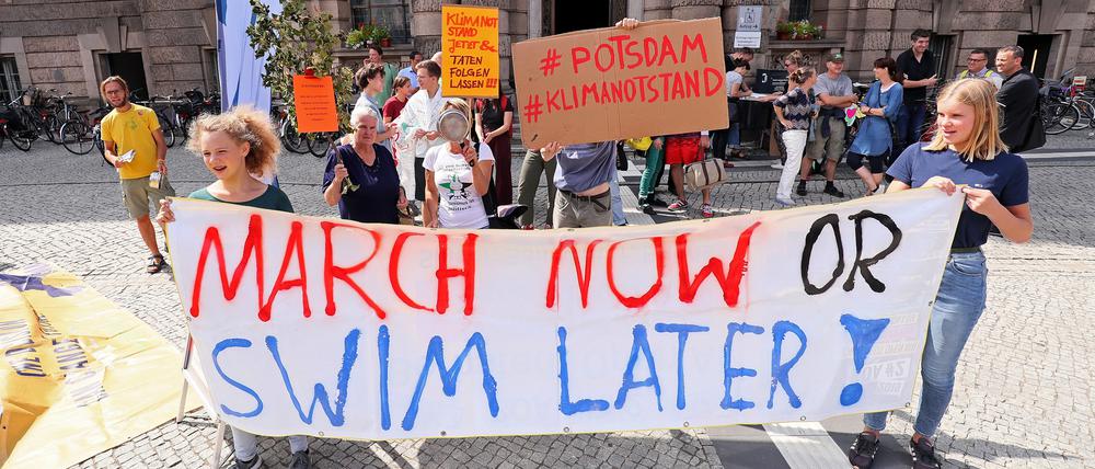 Immer wieder gibt es auch in Potsdam Proteste für mehr Klimaschutz (Symbolbild)
