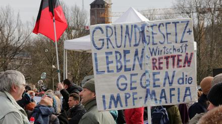 Impfgegner und Corona-Leugner während einer Demonstration in Potsdam (Archivbild)