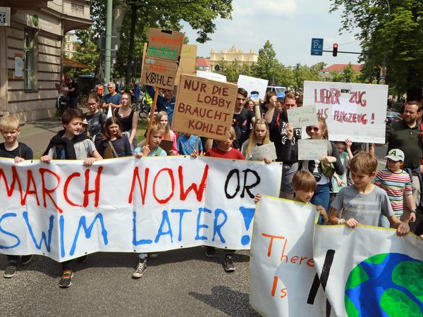 Rund 600 Teilnehmer hatte die "Fridays for future"-Demonstration Ende Mai in Potsdam.