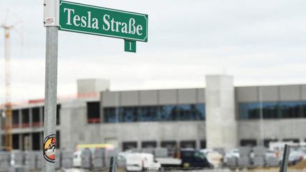 Die Tesla Gigafabrik in Grünheide erhielt jüngst die offizielle Baugenehmigung durch das Land.