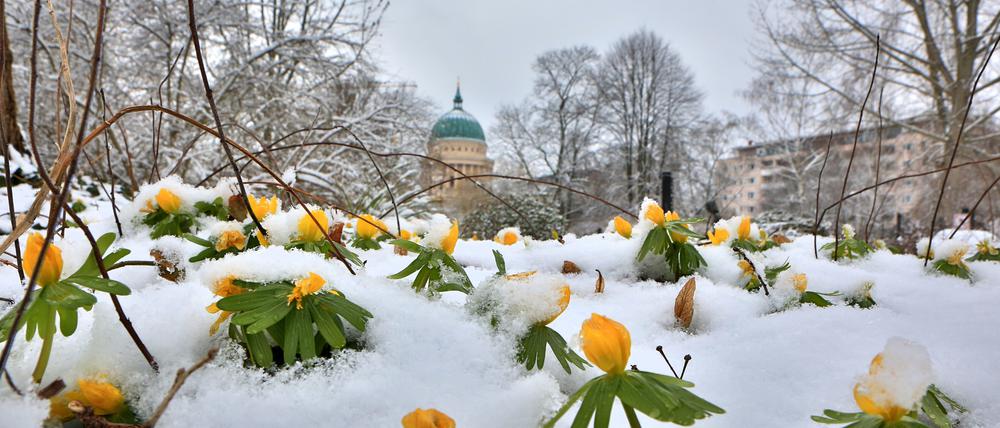 2018 schneite es zum Frühlingsanfang in Potsdam.