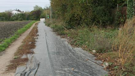 Der gescheiterte Solarradweg der Firma Solmove in Erftstadt.