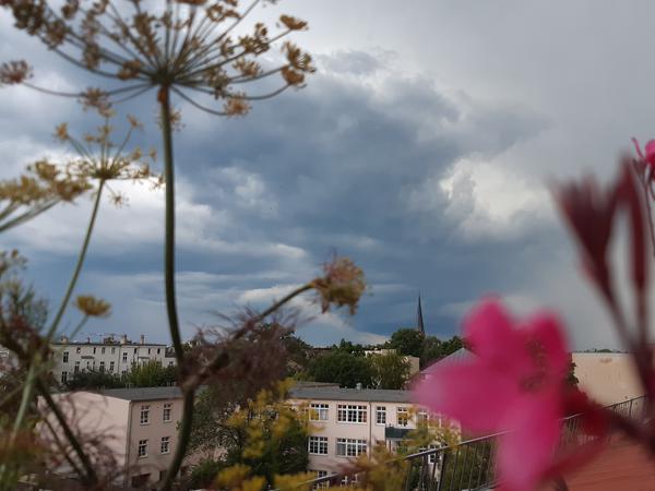 Blick in Richtung Potsdam-West: Gewitterwolken über der Stadt.