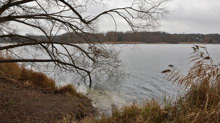 Um das Ufer des Glienicker Sees wird seit Jahren gestritten.
