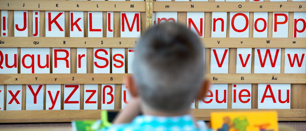 In Babelsberg ist der Bedarf besonders für die Grundschulen höher als erwartet.