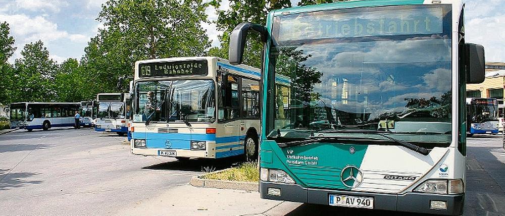 Grün und blau: Künftig werden 15 Havelbusse das Logo des ViP tragen. 40 Busfahrer und zwei Schlosser haben zudem bald einen ViP-Anzug an.