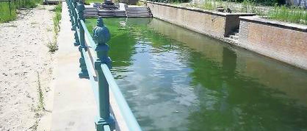 Gefüllt. Von der Havel bis zur Kellertorbrücke ist wieder Wasser im Kanal.