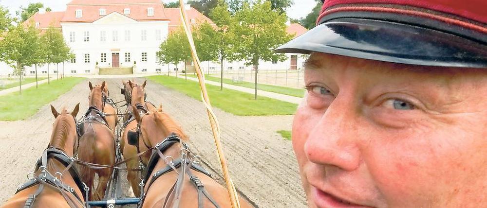 Geadelt durch die neue Aufgabe: Kutscher Klaus Eckert vom Gestüt Neustadt/Dosse wird das junge Preußen-Paar in seiner Kutsche mit sechs davor gespannten Pferden der Rasse Brandenburger transportieren.