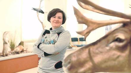 Hörner zeigen. Ina Pokorny ist die Neue im Naturkundemuseum.
