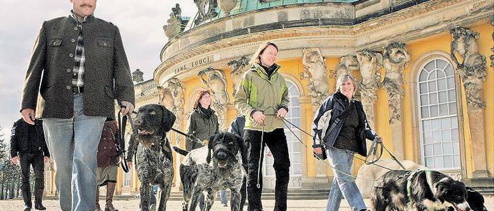 Auf den Hund gekommen. Hundetrainer aus ganz Deutschland absolvierten an der IHK Potsdam die Weiterbildung zum Hundefachwirt. Höhepunkt zum Abschluss des Kurses war ein Rundgang durch die Landeshauptstadt mit Besuch in Sanssouci, wo Friedrich II. neben seinen geliebten Vierbeinern ruht.