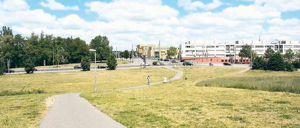 Heute Bauland. Auf dem Brauhausberg-Areal nördlich der Max-Planck-Straße soll – so der Beschlussentwurf von Oberbürgermeister Jakobs – Potsdams neues Sport- und Freizeitbad entstehen. Die Linke will auch das „Minsk“ und die alte Schwimmhalle erhalten.