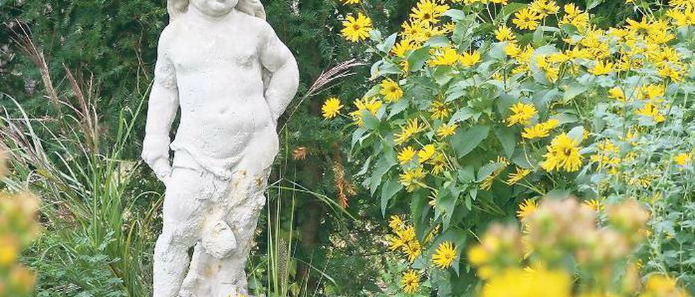 Auferstanden. Der 110 Zentimeter große Amor kann nach aufwändiger Restaurierung seit gestern wieder im Bornimer Karl-Foerster-Garten bewundert werden.