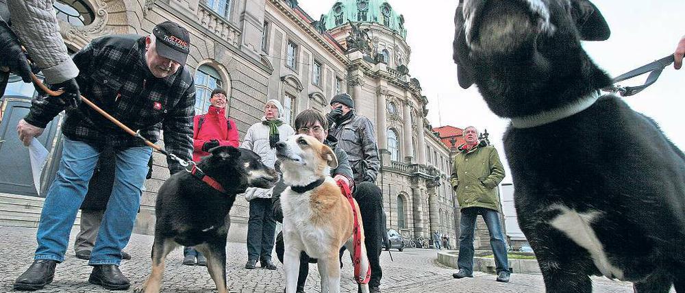 Ohne Heim. Vor dem Rathaus protestierten weniger Tierfreunde als zuletzt.