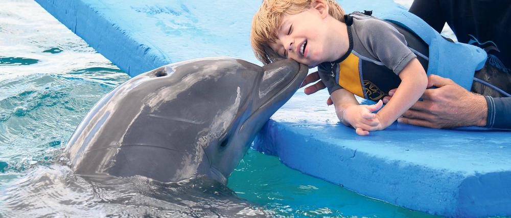 Glücksmoment. Zwei Wochen lang traf Matteo täglich die Delfindame Nubia. Die Therapie hat ihn entspannter gemacht, sagen die Eltern.
