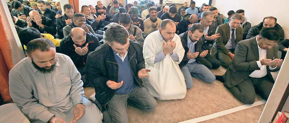 Beten in beengten Verhältnissen. Oberbürgermeister Jann Jakobs (SPD, r.) hat am Freitagsgebet in der Moschee des Vereins der Muslime in Potsdam teilgenommen. Er will auch dabei helfen, neue Räumlichkeiten für die Muslime zu finden.