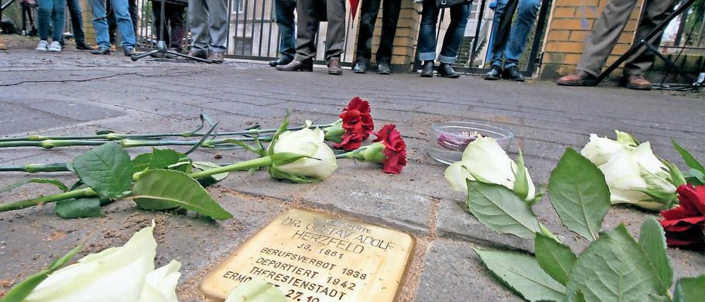Erinnerung in Stein. Am Montag wurde vor der Potsdamer Straße 60 ein Stolperstein für Gustav Herzfeld verlegt. Der Potsdamer Anwalt starb 81-jährig im Ghetto Theresienstadt.
