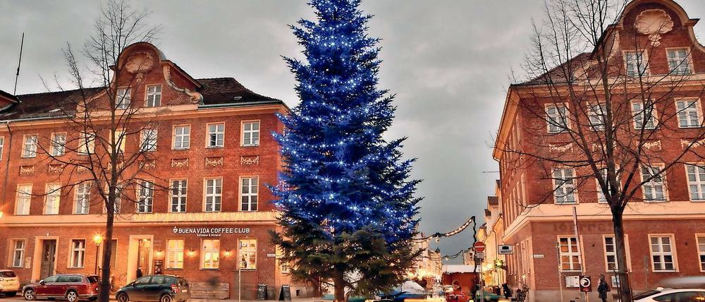 Am Bassinplatz mit dem blau erleuchteten Weihnachtsbaum beginnt der Weihnachtsmarkt in der Brandenburger Straße.