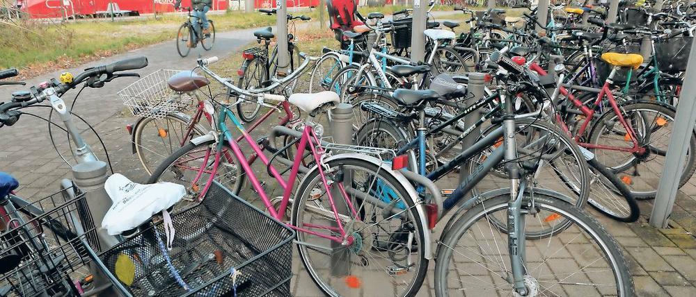Mehr Parkplätze. 400 zusätzliche überdachte Stellplätze für Fahrräder sollen 2018 am Bahnhof Griebnitzsee entstehen. Das ist eine von zahlreichen Maßnahmen des Radverkehrskonzepts, die im Doppelhaushalt eingeplant werden.