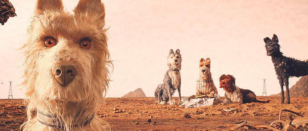 Gefördert. Der Film „Isle of Dogs“ eröffnet die Berlinale.