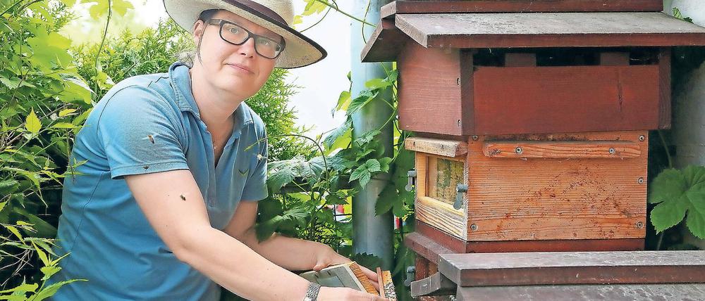 Völkerkunde. Imkerin Claudia Brandis ist Vorsitzende des Potsdamer Imkervereins, den es seit 160 Jahren gibt. Die Honigbienen haben mit allerlei zu kämpfen: Pestiziden, Monokulturen, Schädlingen und Futterkonkurrenten.