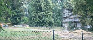Politikum. Um den Park an der maroden Villa Schlieffen war vor dreieinhalb Jahren ein Streit entbrannt. Nun soll ein Teil des Parks Ende des Jahres wieder zugänglich sein.