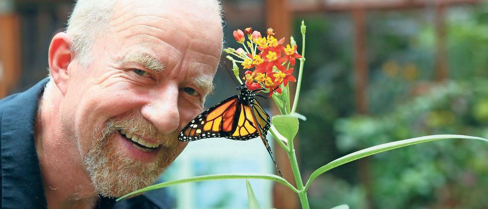 Verliebt in Falter. Hubertus Rufledt ist freier Mitarbeiter in der Biosphäre und führt Besucher sehr gerne ins Schmetterlingshaus. Hier lebt der große Atlasspinner, einer der größten Schmetterlinge weltweit, und auch der orange-bunte Monarch (Foto).