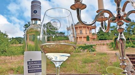 Wein aus der Landeshauptstadt. Beim Königlichen Weinfest auf dem Klausberg können Besucher auch den neuen Wein vom königlichen Weinberg probieren. „Royal Plaisir“ nennt sich der Tropfen aus dem Jahr 2017.