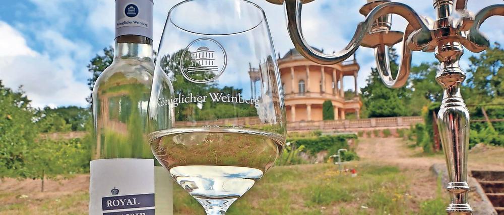 Wein aus der Landeshauptstadt. Beim Königlichen Weinfest auf dem Klausberg können Besucher auch den neuen Wein vom königlichen Weinberg probieren. „Royal Plaisir“ nennt sich der Tropfen aus dem Jahr 2017.