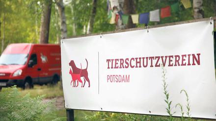 Kommt voran: Der Bau des Potsdamer Tierheims an der Michendorfer Chaussee. Zurzeit werden Fundtiere noch in die Einrichtung nach Zossen gebracht. Neben dem Tierschutzverein Potsdam kümmern sich auch die freiwilligen Helfer der Tierrettung Potsdam um entlaufene, vermisste oder in Not geratene Katzen, Hunde und Co.