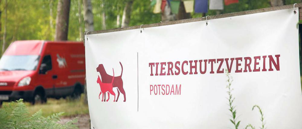 Kommt voran: Der Bau des Potsdamer Tierheims an der Michendorfer Chaussee. Zurzeit werden Fundtiere noch in die Einrichtung nach Zossen gebracht. Neben dem Tierschutzverein Potsdam kümmern sich auch die freiwilligen Helfer der Tierrettung Potsdam um entlaufene, vermisste oder in Not geratene Katzen, Hunde und Co.