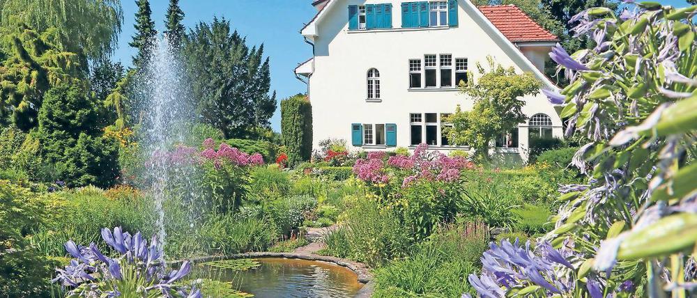 Es grünt und blüht. Wegen der intensiven Pflege der Gärtner – Überstunden und Wochenenddienste inklusive – ist der Karl-Foerster-Garten trotz der Hitze eine Oase.