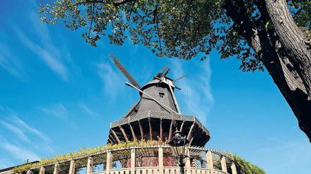 Vom Winde gedreht. Die Historische Mühle von Sanssouci ist eine Rekonstruktion aus dem Jahr 1993. Seit Jahren müssen immer wieder Reparaturen durchgeführt werden.