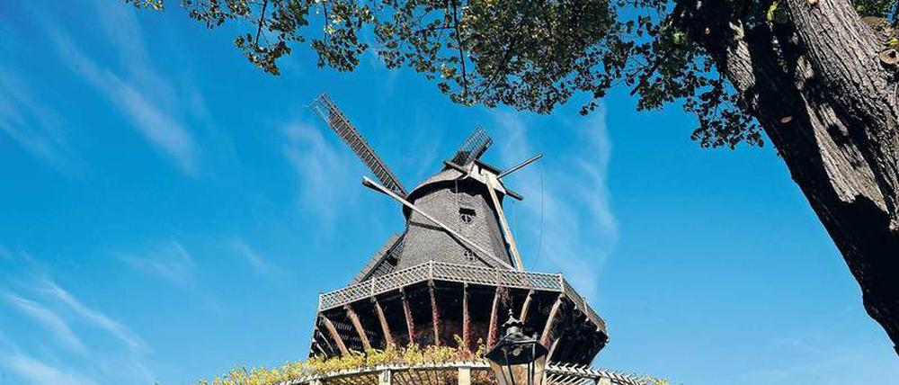Vom Winde gedreht. Die Historische Mühle von Sanssouci ist eine Rekonstruktion aus dem Jahr 1993. Seit Jahren müssen immer wieder Reparaturen durchgeführt werden.