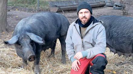 Der Schweinehirt Clemens Stromeyer ist jetzt Einzelkämpfer im Sauenhain