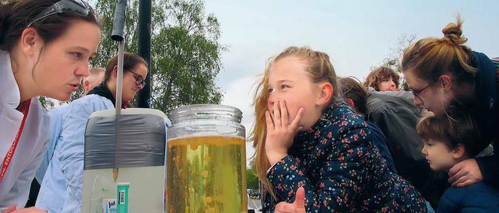 Versuch im Wasserglas. Mit gefärbtem Wasser, Speiseöl und einer Brausetablette konnten Besucher am Stand der Universität Potsdam nachvollziehen, welchen Weg Magma unter der Erdoberfläche geht.