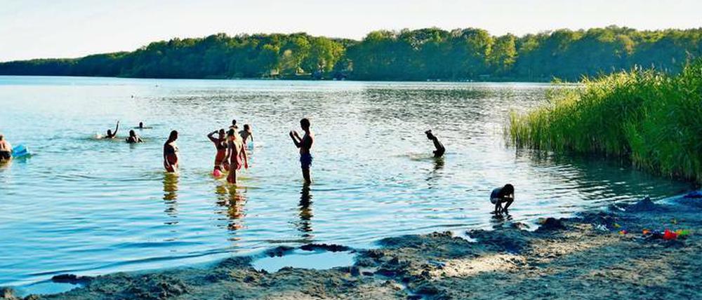 Der Sacrower See ist vor allem bei Familien wegen des klaren Wassers und der geringen Tiefe am Ufer beliebt. 