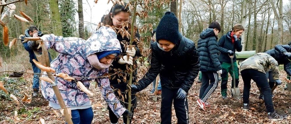 Trotz Kälte. Schüler einer Willkommensklasse haben sich am Mittwoch an einer Baumpflanzaktion im Schlosspark beteiligt und junge Bäume in die Erde gesetzt.