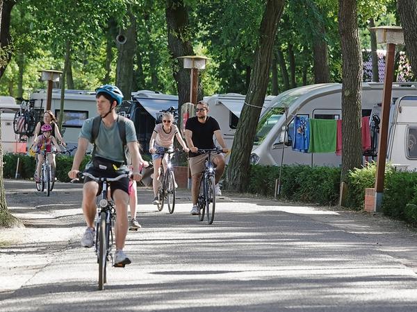 Mittendrin. 240 Stellflächen für Wohnwagen und Wohnmobile gibt es. Der Campinplatz eignet sich auch als Ausgangspunkt für Radtouren in die Umgebung.