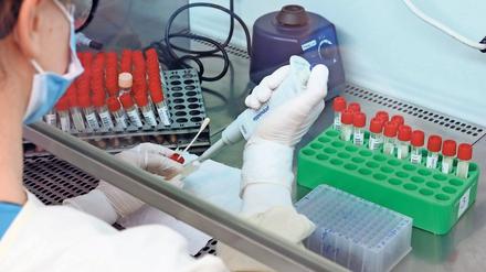 Analyse vor Ort. Das städtische Bergmann-Klinikum will künftig neben PCR-Tests auch Sequenzierungen positiver Proben auf Mutationen vornehmen.
