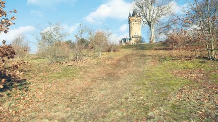 Erträglich oder zerstörerisch? Den Hügeln im Park Babelsberg, hier am Flatowturm, sieht man deutlich an, dass sie als Rodelstrecken genutzt wurden. 
