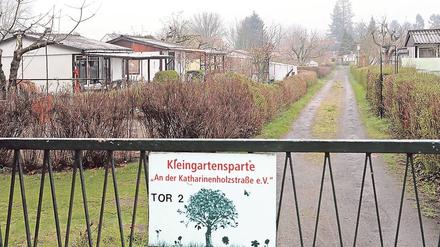 Die mehr als 100 Mitglieder des 1979 gegründeten Kleingartenvereins an der Katharinenholzstraße fragen sich, wie es weitergeht.