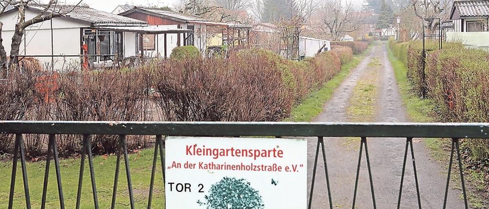 Die mehr als 100 Mitglieder des 1979 gegründeten Kleingartenvereins an der Katharinenholzstraße fragen sich, wie es weitergeht.