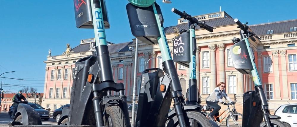 Platzhirsch. Mit 450 E-Scootern ist der Anbieter Tier in Potsdam vertreten.
