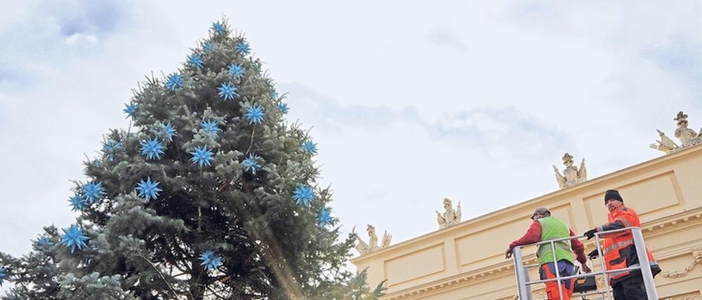 In Potsdam wird bereits für die Weihnachtszeit geschmückt.