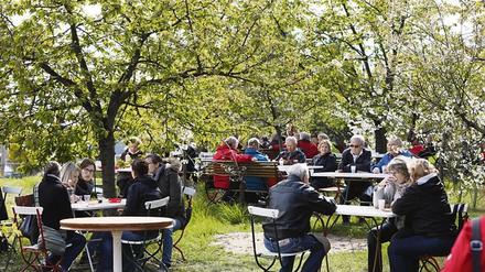Besucher beim Baumblütenfest in Werder (Havel), Archivfoto.