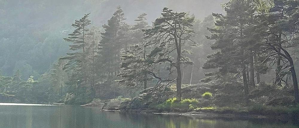 Das Foto zeigt den See vor Familie Büchners Baumhaus-Domizil in Norwegen.