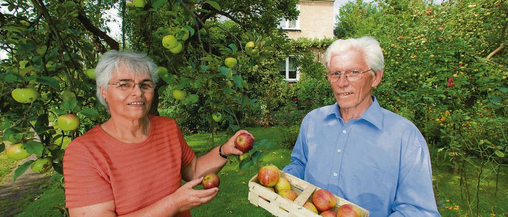 Gesund leben. Waltraud und Dieter Eisenberger haben in ihrem Garten in der Obstbausiedlung Eden Äpfel geerntet.
