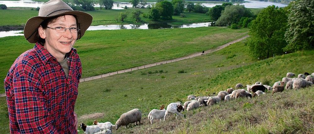 Die Schäferin Katrin Todt steht auf einem Oderbruchhang mit ihrer Schafherde und einigen Ziegen.