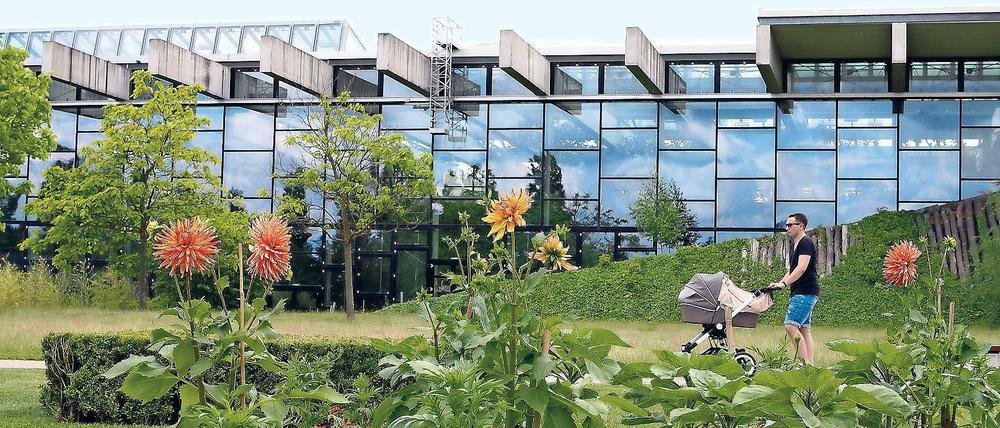 Seit Jahren ist die Stadt Potsdam auf der Suche nach einer geeigneten Nutzung für die Biosphäre, die im Potsdamer Volkspark liegt. Alle Ansätze scheiterten aber bislang.